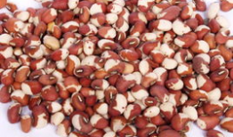 南麻豆,探寻古老文化的瑰宝与传承